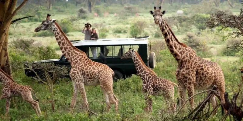 The Maasai Mara National Park